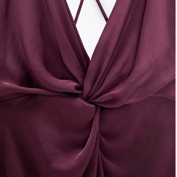 zara plum dress
